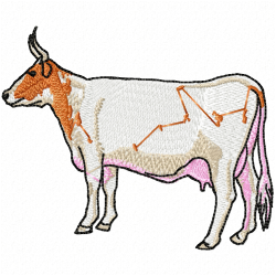 Cows Embroidery Design 11 Cows Embroidery Design 11